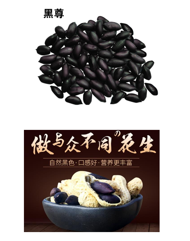 ll15.png